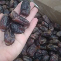 خرمای شهابی