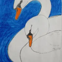 قوی سفید|تابلو، نقاشی، عکس|مراغه, |دیوار