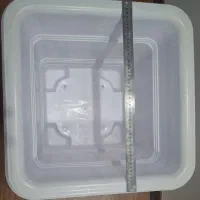 گلدان بزرگ|گل و گیاه طبیعی|تهران, سازمان برنامه شمالی|دیوار