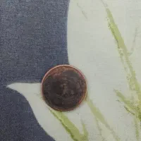 سکه شیر|کلکسیون سکه، تمبر، اسکناس|چالدران, |دیوار