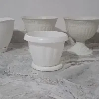 گلدان پلاستیکی گل طبیعی|گل و گیاه طبیعی|رباط‌کریم, نصیرشهر|دیوار