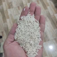 آقای برنج|خوردنی و آشامیدنی|کرمان, |دیوار