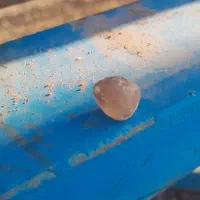 سنگ داخل سنگ زیبا|کلکسیون اشیاء عتیقه|رفسنجان, |دیوار