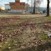 فروش زمین تجاری