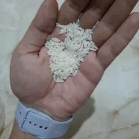 برنج صدری هاشمی درجه یک|خوردنی و آشامیدنی|تهران, سلسبیل جنوبی|دیوار