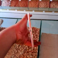 آیپد|تبلت|مشهد, عنصری|دیوار