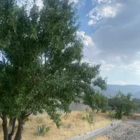 باغ شهری|فروش زمین و ملک کلنگی|شیراز, شهرک امیر کبیر|دیوار