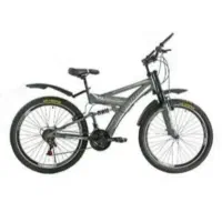 دوچرخه درحد نوع