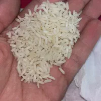 برنج علی کاظمی درجه یک مستقیم ازکشاورزمزارع گیلان|خوردنی و آشامیدنی|تهران, ونک|دیوار