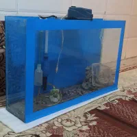 آکواریوم ماهی تجهیزات