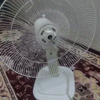 پنکه|کلکسیون اشیاء عتیقه|قم, تولید دارو و یخچال|دیوار