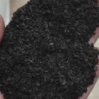 طلای سیاه گیلان(چای)