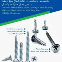 سپند پیچ یزد (چهره یزد)|عمده‌فروشی|مشهد, کوشش|دیوار