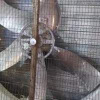 تاسیسات مرغداری