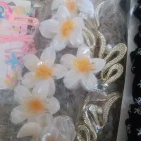 گیر سر|حراج|همدان, |دیوار