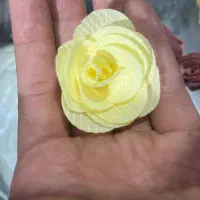 گل خرجکار کش مو و دمپایی عمده