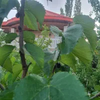 باغ ویلا نوساز کلید نخورده شهمیرزاد