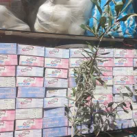 هالوژن|لامپ و چراغ|تاکستان, |دیوار
