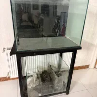 آکواریوم ریملس سامپ دار