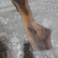 فروش چوب میز راش خام شمال