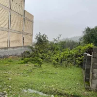 ۲۹۵ متر زمین سند تک برگ ابتدای جاده ییلاق ماسال