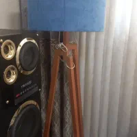 آباژور کنار سالنی