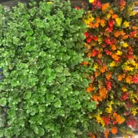گرینوال کافه ای / ۱۰ تایی/ ۶۰ در ۶۰|کافی‌شاپ و رستوران|اندیشه, اندیشه فاز ۳|دیوار