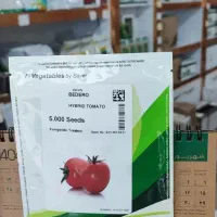 فروش بذر گوجه فرنگی|خدمات باغبانی و درختکاری|شیراز, بازار|دیوار