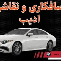 صافکار حرفه ای در زمینه سنتی و pDR