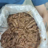 کشمش افتابی|عمدهفروشی|قرچک, زیبا شهر|دیوار