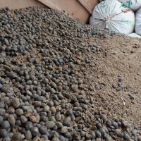 کود گوسفندی درجه یک کاملا خشک|خدمات باغبانی و درختکاری|طالقان, |دیوار