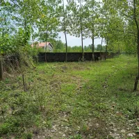 فروش زمین باغی|فروش زمین و ملک کلنگی|رودبنه, |دیوار