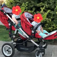 کالسکه ی دو قلو برند پیرگاردین