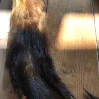 شال تزیینی|لباس|تهران, مینی‌سیتی (شهرک نفت)|دیوار