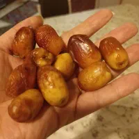 خرمای خشک زاهدی تازه صادراتی|عمده‌فروشی|مشهد, شهید بهشتی|دیوار