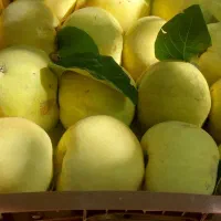 به درجه یک
