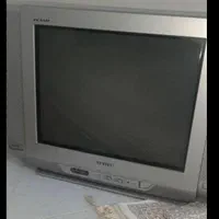 تلوزیون