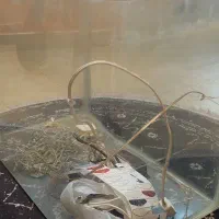 آکواریوم شیشه خم