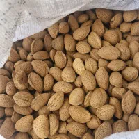 بادام|خوردنی و آشامیدنی|سامان, |دیوار