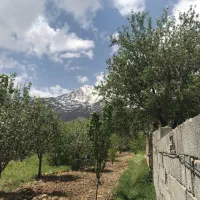 زمین-و-باغ-قابل-ساخت-در-روستای-سورانه