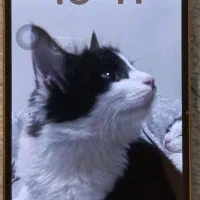 آیفون ۱۳ پرو ۱ترابایت