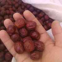 عناب درجه یک نیست در مشهد به شرط