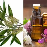آموزش روغن تراپی فقط خانم ها
