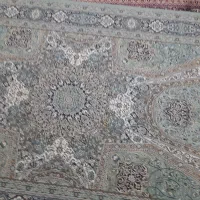 فرش 6متری|فرش|زاهدان, |دیوار