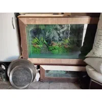 آکواریوم ماهی ام دی اف باپایه فلزی|ماهی|محلات, |دیوار