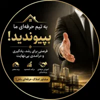 جذب مشاور حرفه ای