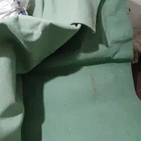 موکت12متری سبز|موکت|یزد, |دیوار