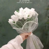 کلکسیون،عروس|خدمات پذیرایی، مراسم|نسیم‌شهر, |دیوار