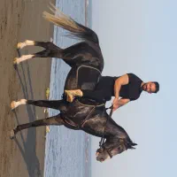 اسب ترکمن کورسی چند بارکورس کرده مقام دار