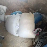 کاه|لوازم جانبی حیوانات|جره و بالاده, |دیوار